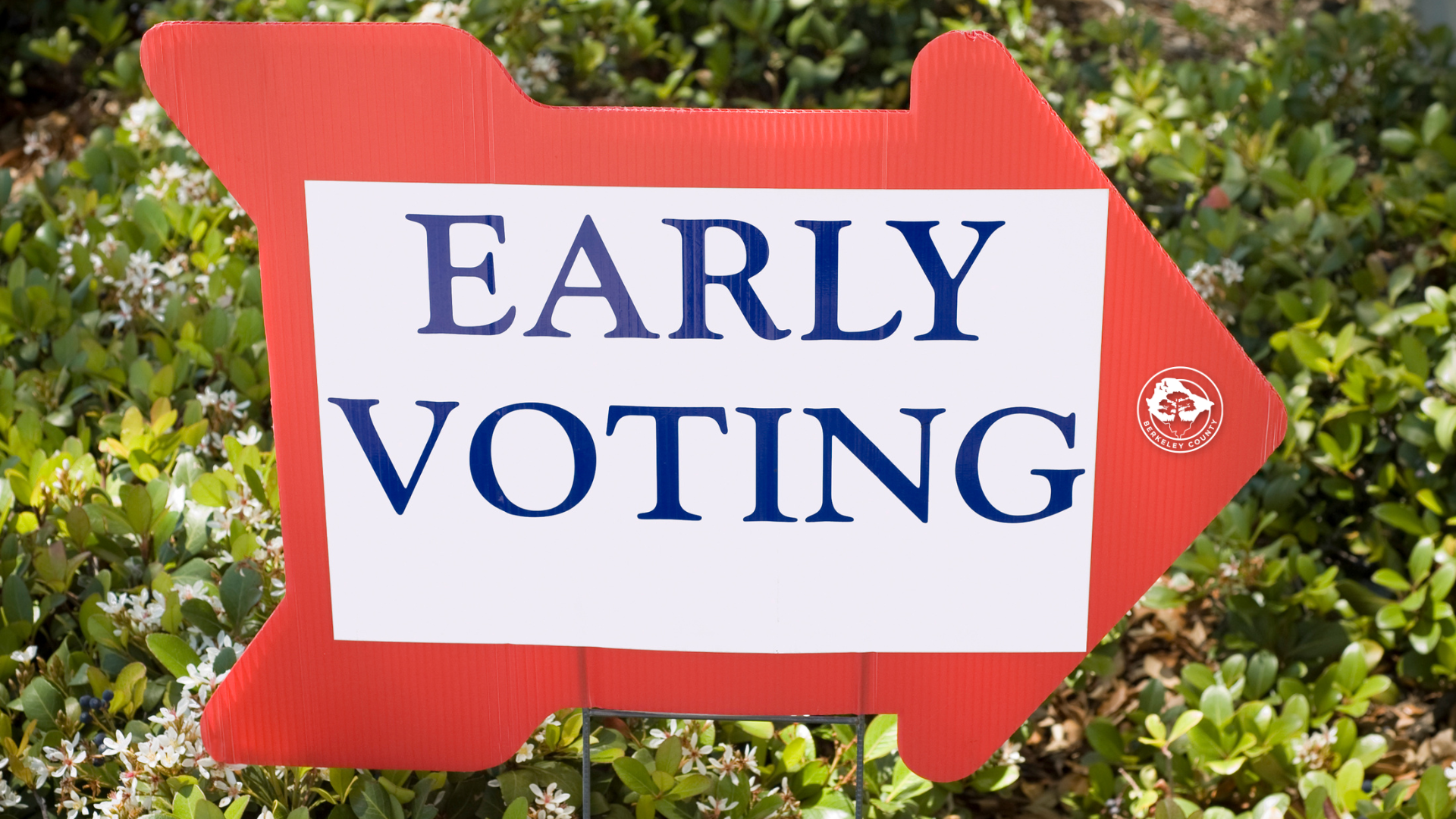 Berkeley County Early Voting 411 for Democratic Presidential Preference Primary