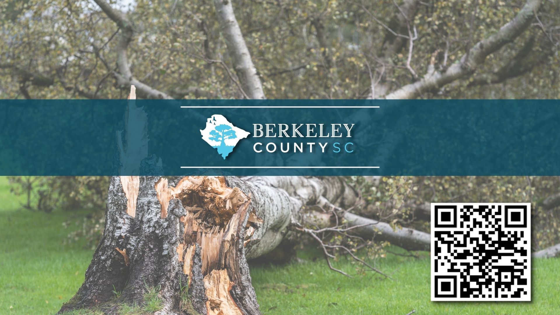 Berkeley County Encourages Public to Report Storm Damage
