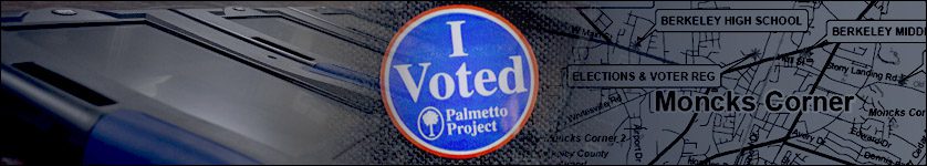 Image depicting the 'Palmetto I Vote' campaign logo